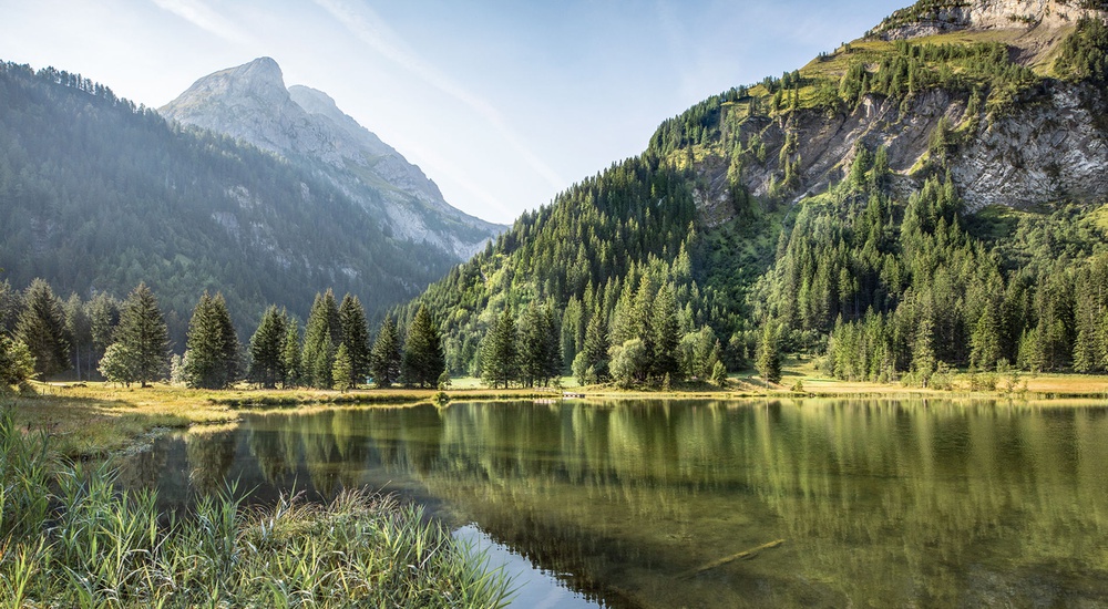 In einem Naturschutzgebiet liegt der Lauenesee