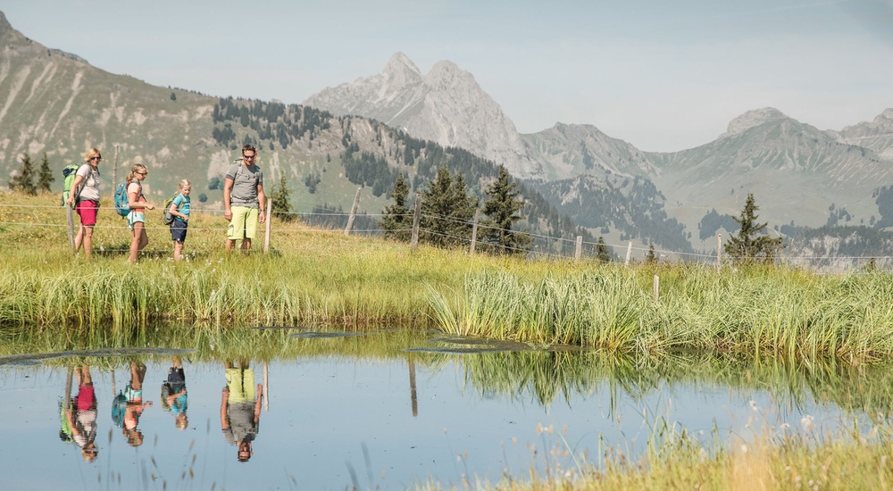 In einem Naturschutzgebiet liegt der Lauenesee